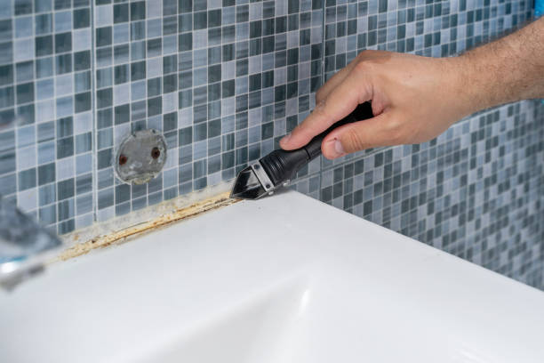Best Mold Removal Specialists  in Waupun, WI