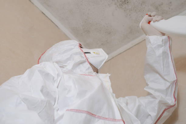 Best Professional Mold Removal  in Waupun, WI