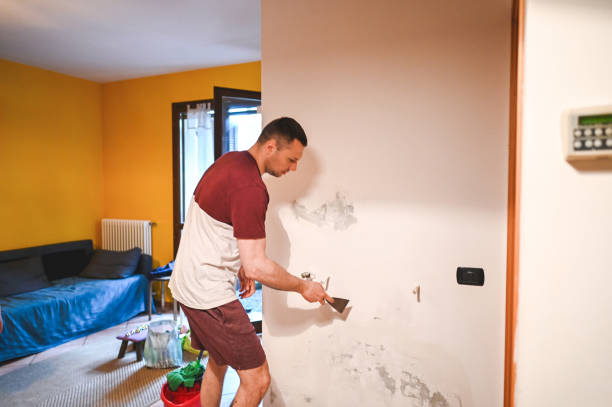 Best Local Mold Removal Service  in Waupun, WI