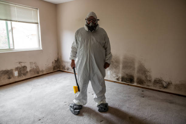 Best Mold Removal Specialists  in Waupun, WI